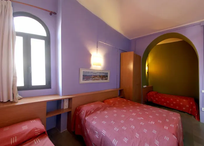 Hostel Alberg Solidanca *